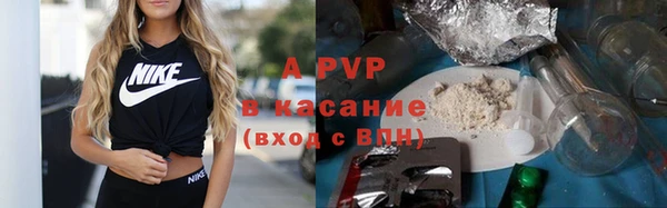 apvp Алзамай