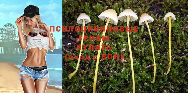 каннабис Аркадак