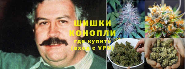 каннабис Аркадак