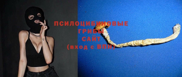 apvp Алзамай