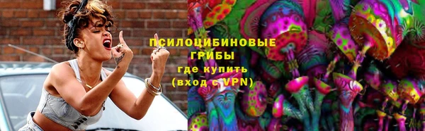 дмт Арсеньев