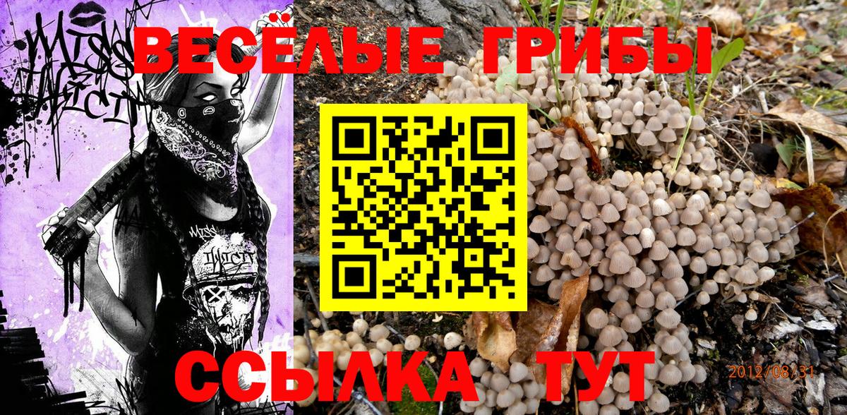 Галлюциногенные грибы Psilocybe Усолье-Сибирское