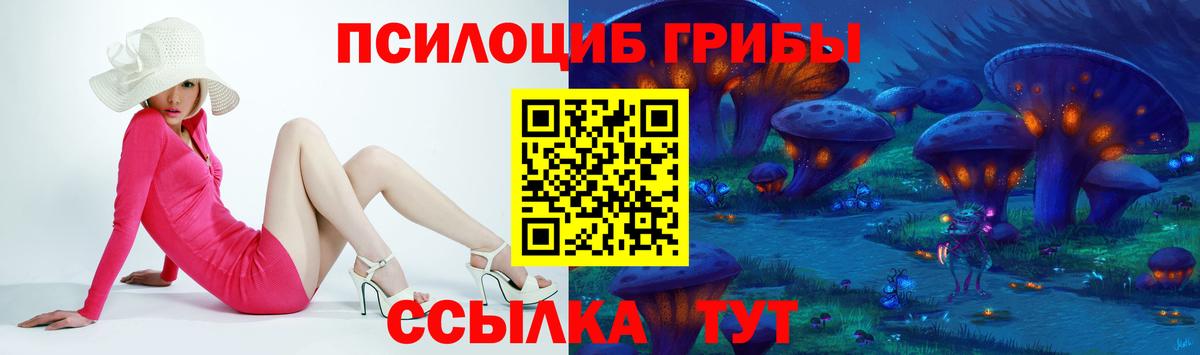 Псилоцибиновые грибы GOLDEN TEACHER  Псилоцибиновые грибы Psilocybine cubensis  Усолье-Сибирское  Вход с VPN 